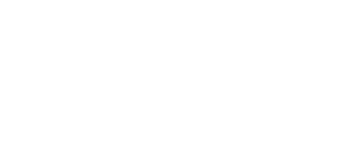 ペンライト ¥3,500